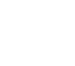 SYNAPBOT